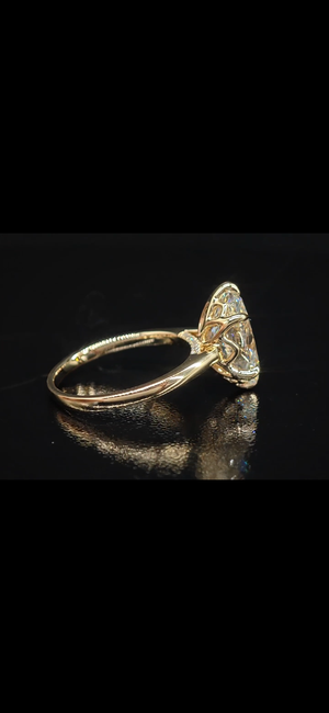 The Custom Ring